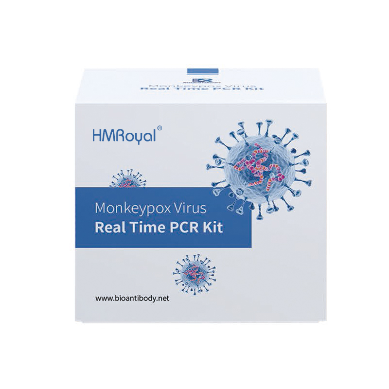Real-time Molecular Biology Reagents Monkeypox PCR Test Kit Monkeypox Rapid Test Kits