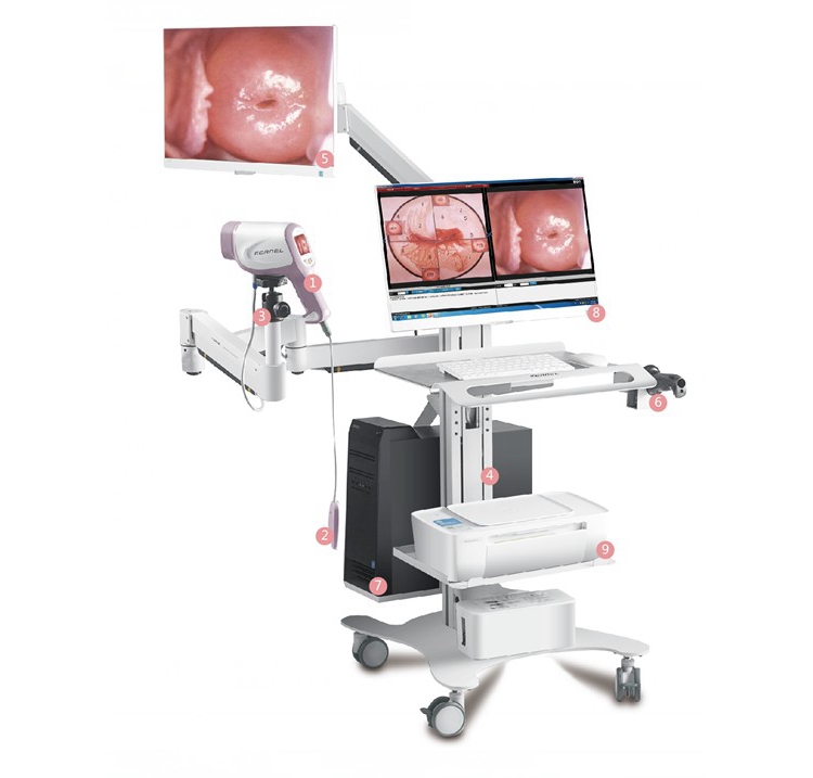 kernel Trolley Endoscope internal medicine Gynecology Vagina Examination Full HD Digital Video Colposcope