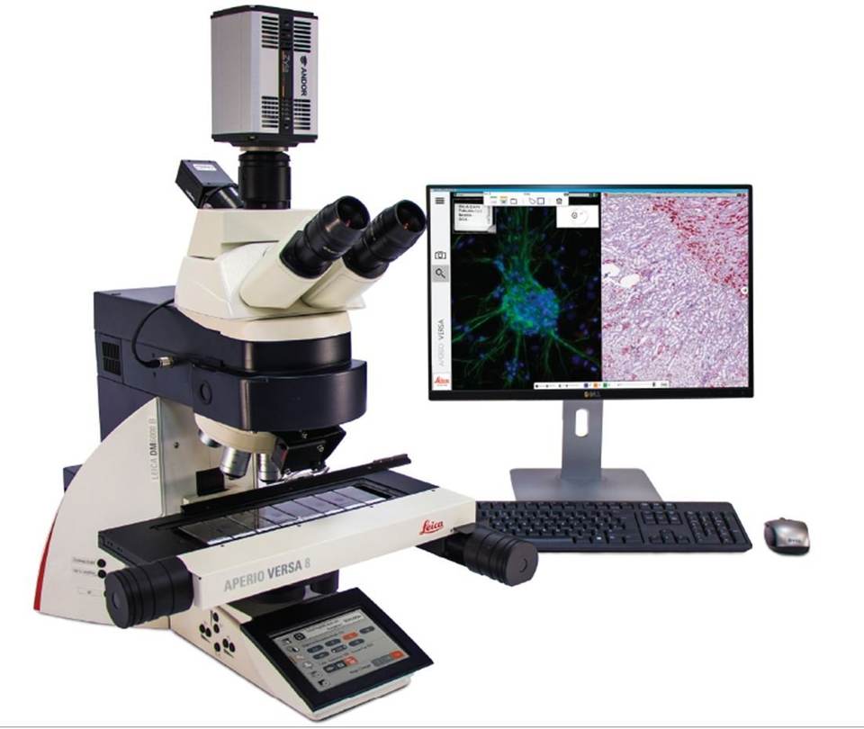 Leica Biosystems Anatomical Pathology Equipments and Consumables