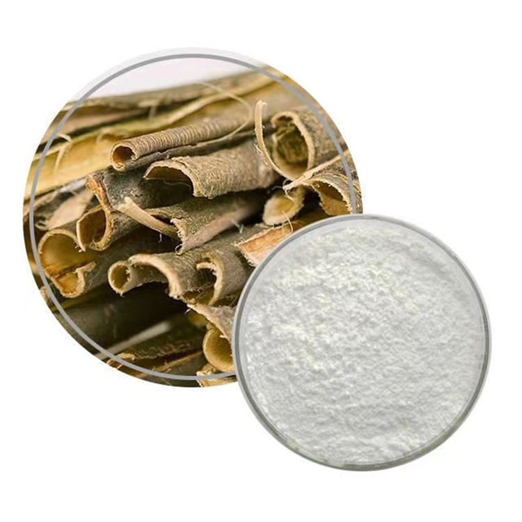 Professional Factory Chinese Medicine White Willow Peel Extract Salicin