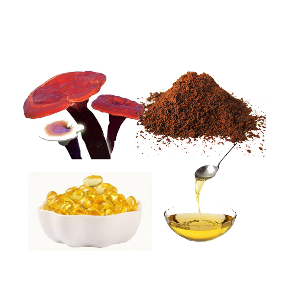 Health preserving Ganoderma lucidum traditional Chinese medicine seasoning lyophilized powder