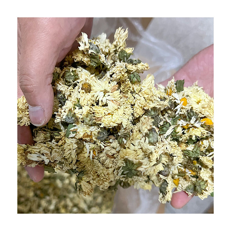 Chinese Herbal Medicine for Peptic Ulcers with Dried White Chrysanthemum Flowers Tea