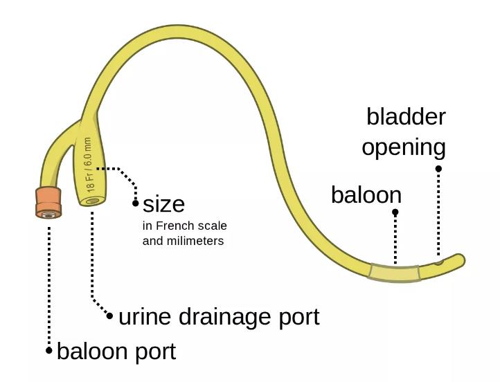 Hospital supplies CE ISO approved medical disposable bardex latex foley catheter with balloon