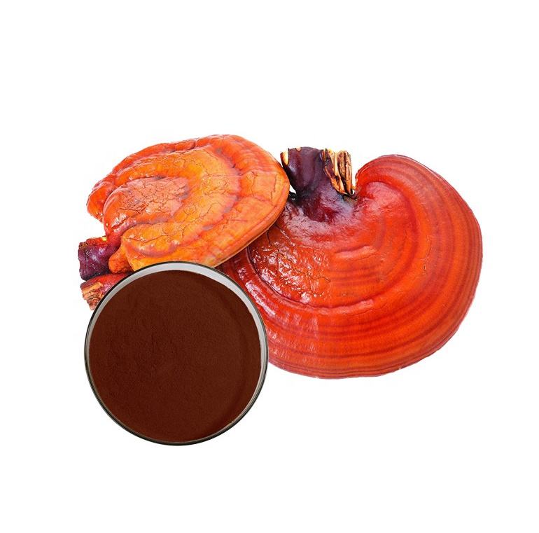 GMP Factory Reishi Mushroom Extract Powder Chinese herbal medicine 10% Polysaccharide Original Ganoderma Lucidum Extract