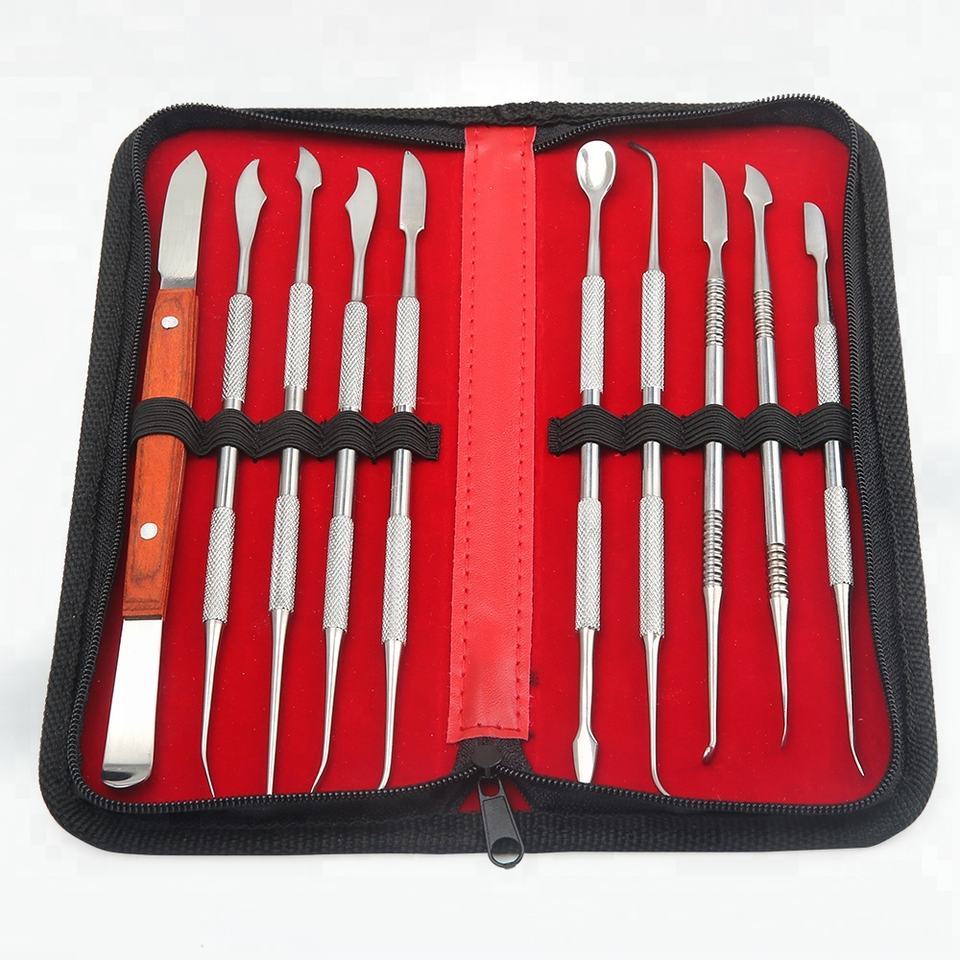 10 Pcs Dental Lab Kit Wax Carving Tool Set Stainless Steel Dentistry & Oral Kit