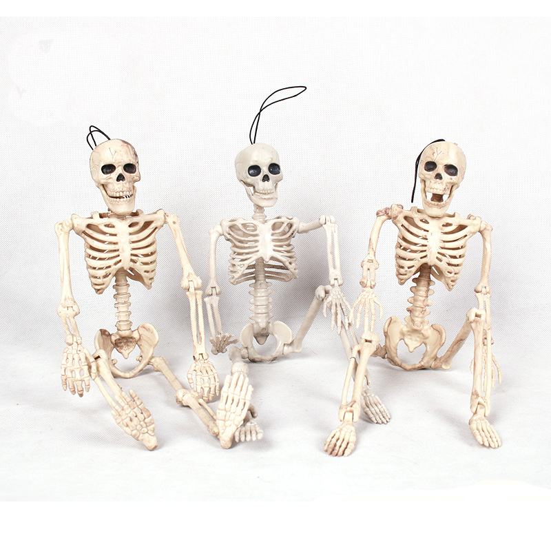 Whole Body Scary Skeleton Human Model Toy Skull 40cm Figure Halloween Hanging Decor