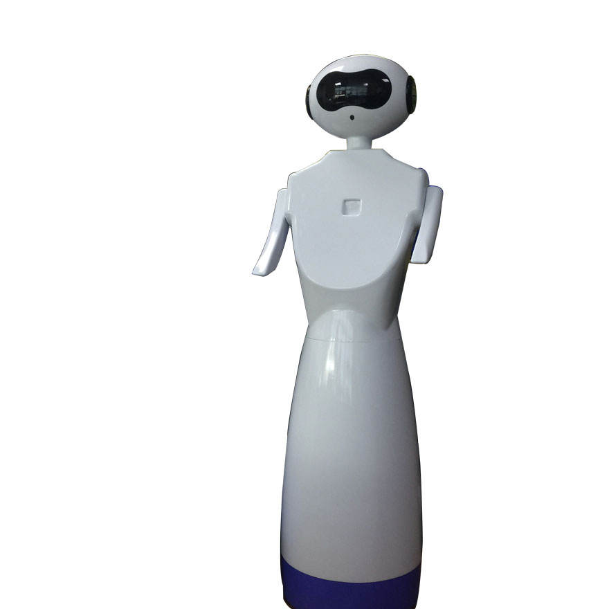 Hot Sales Custom Artificial Intelligence Vacuum Forming Robot Humanoid Robot Plastic Robot